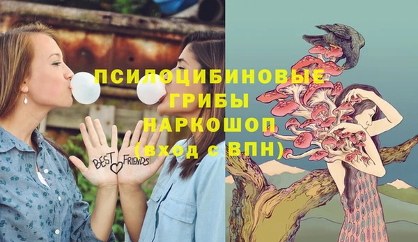 индика Алексеевка