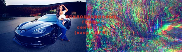 мяу мяу мука Корсаков
