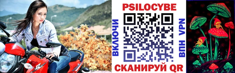 где найти наркотики  Новошахтинск  Галлюциногенные грибы GOLDEN TEACHER 