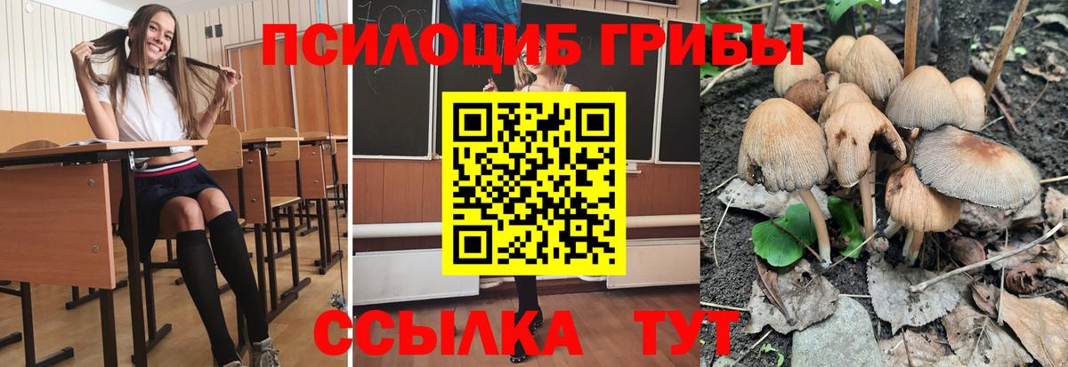 Псилоцибиновые грибы GOLDEN TEACHER Новошахтинск
