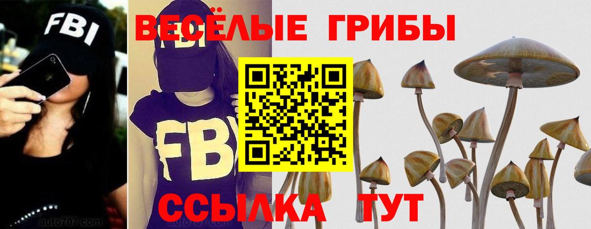 Новошахтинск  Псилоцибиновые грибы Psilocybe  Вход с VPN 
